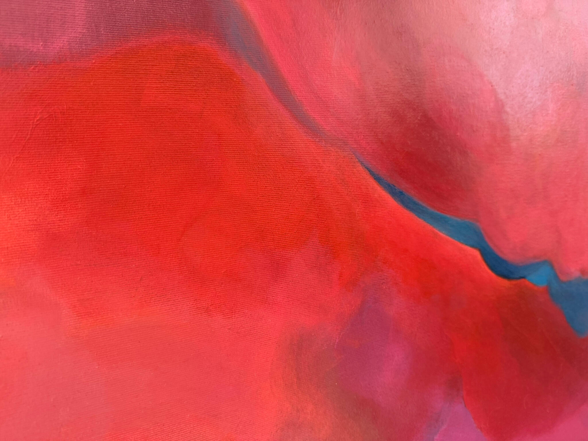 Detail von A Space of My Own: Eine schmale blaue Spur trennt warme korallrote und rosa Farbflächen.